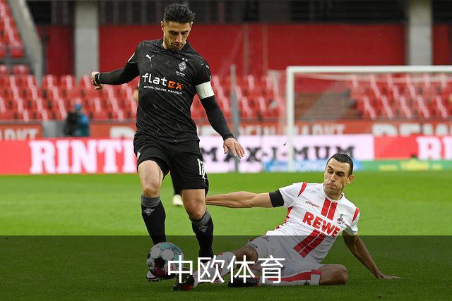 中欧体育公司简介